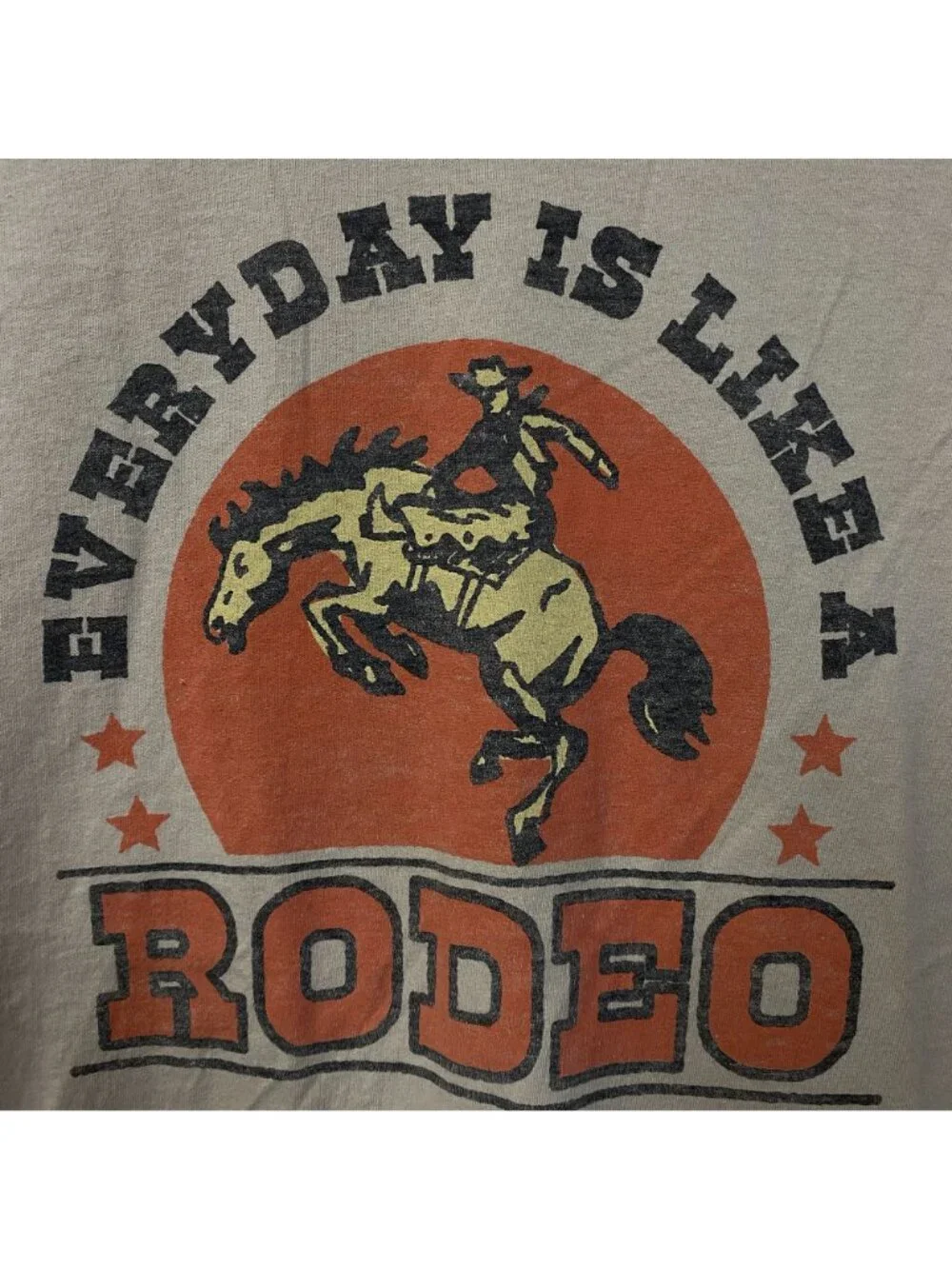 Junk Food Everyday is Like a Rodeo Graphic T-Shirt Medium